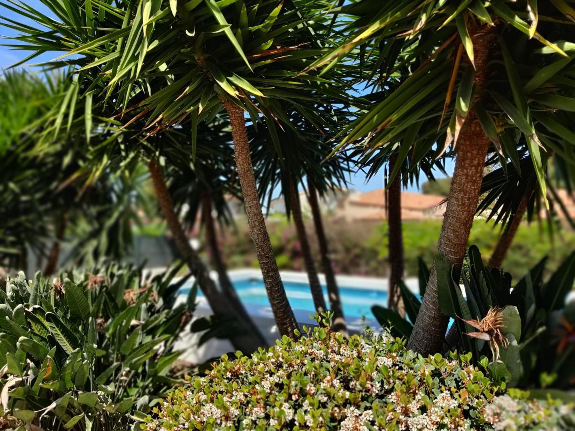 Pool Seaside Relais - Ninfea, Marea, Rosa E Cassiopea Holiday home *